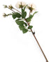 Artificial 87cm Single Stem Ivory and Pink Tipped Spray Rose